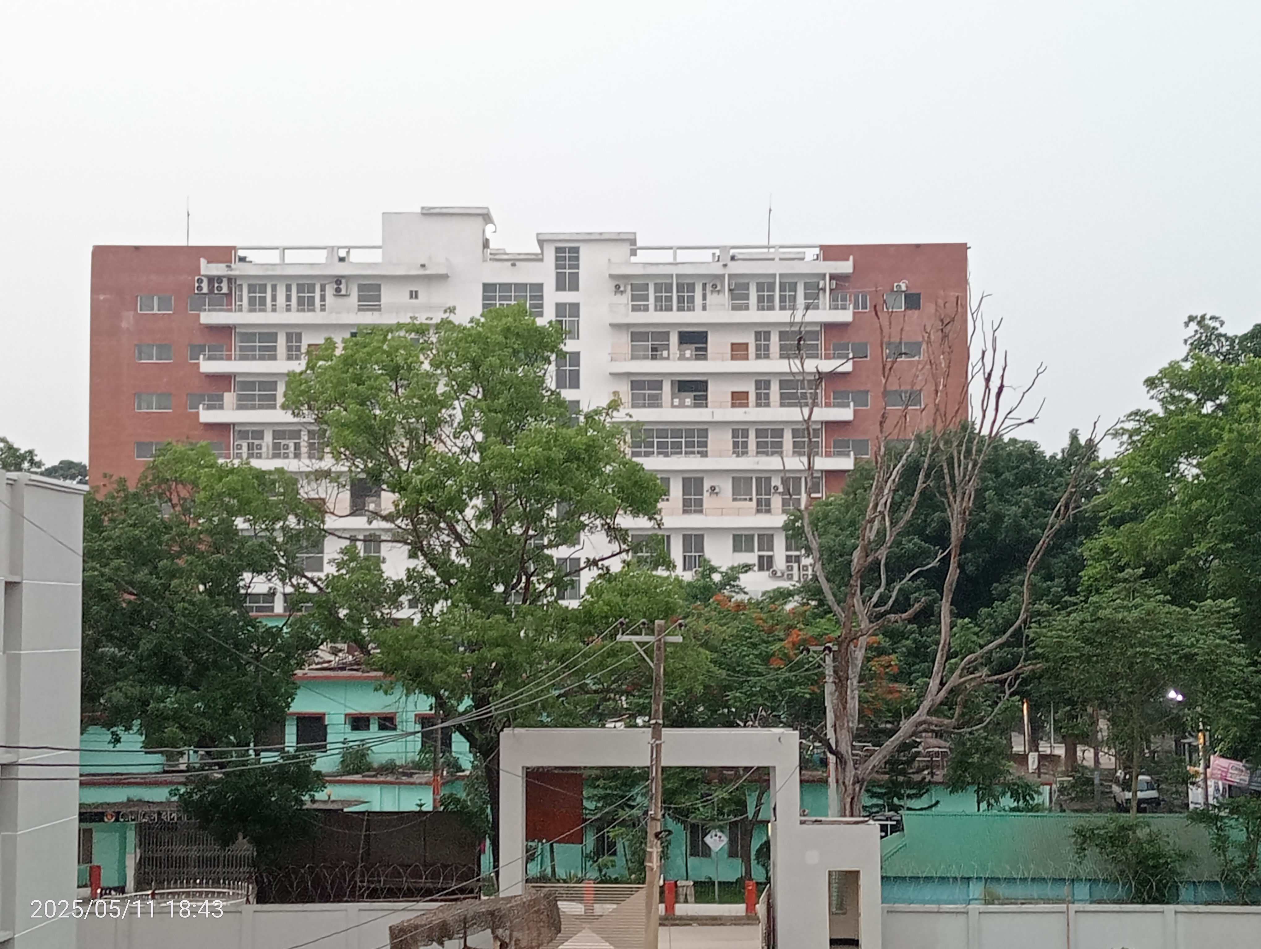 Sheikh Julfikar 