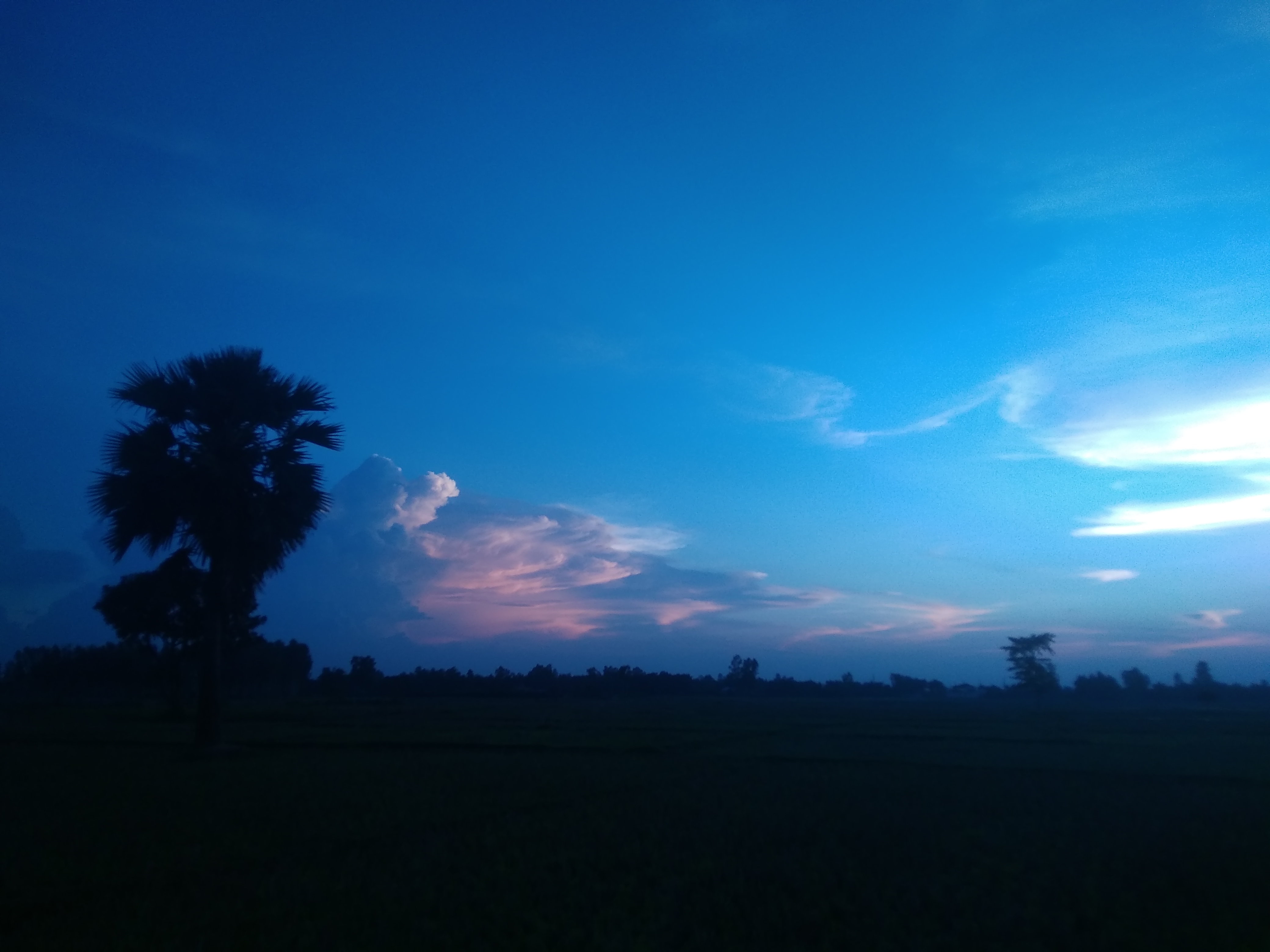 Sontu  Roy
