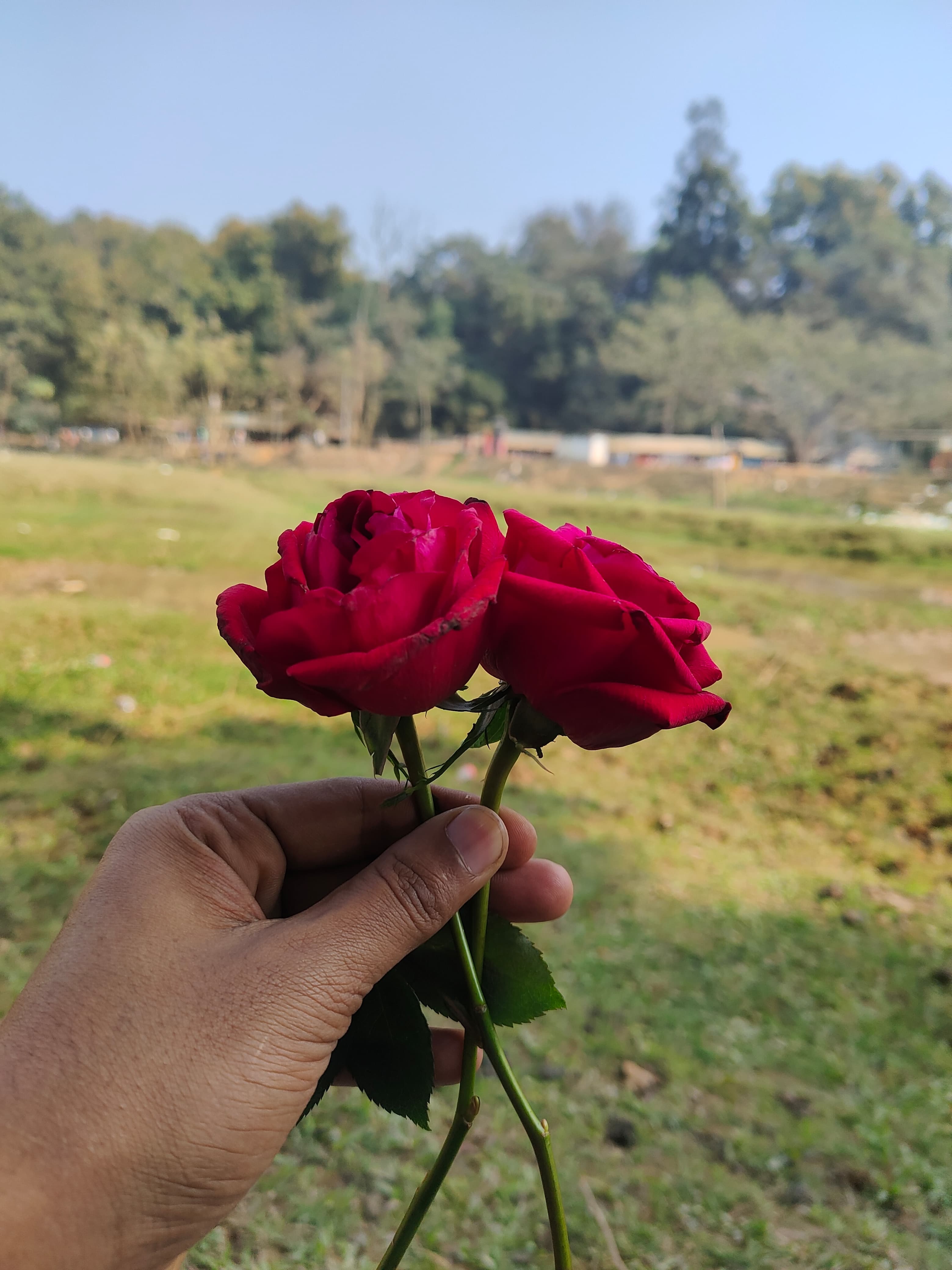 Saima Akter  Sumi