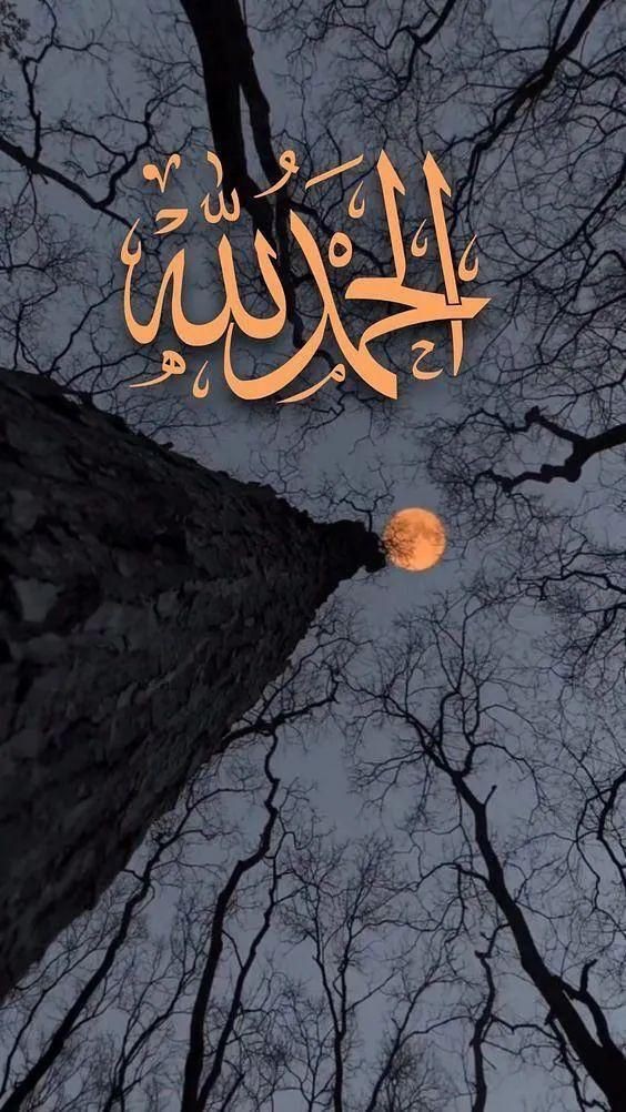 TA Islamic Group