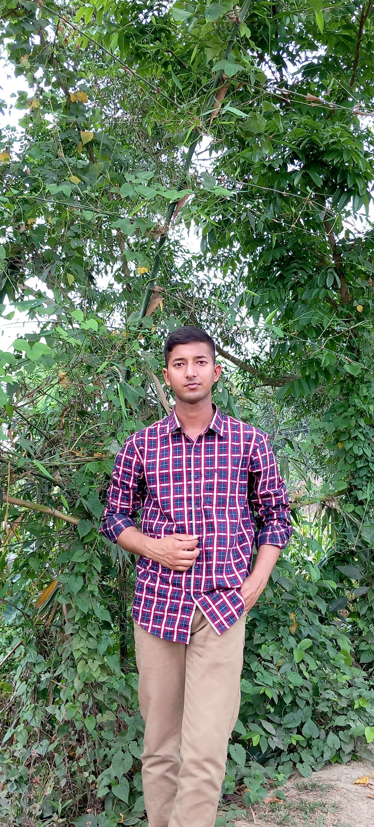 Mehedi00